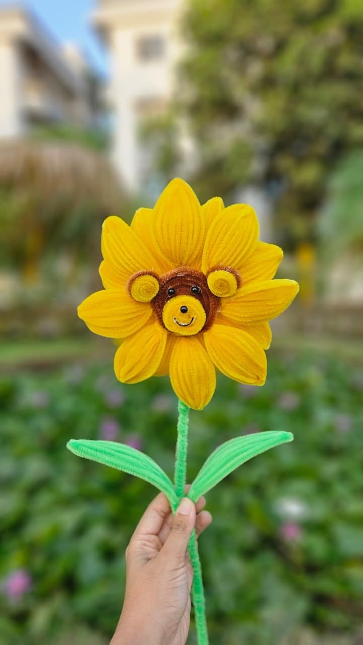 Teddy Bear Sunflower Stem